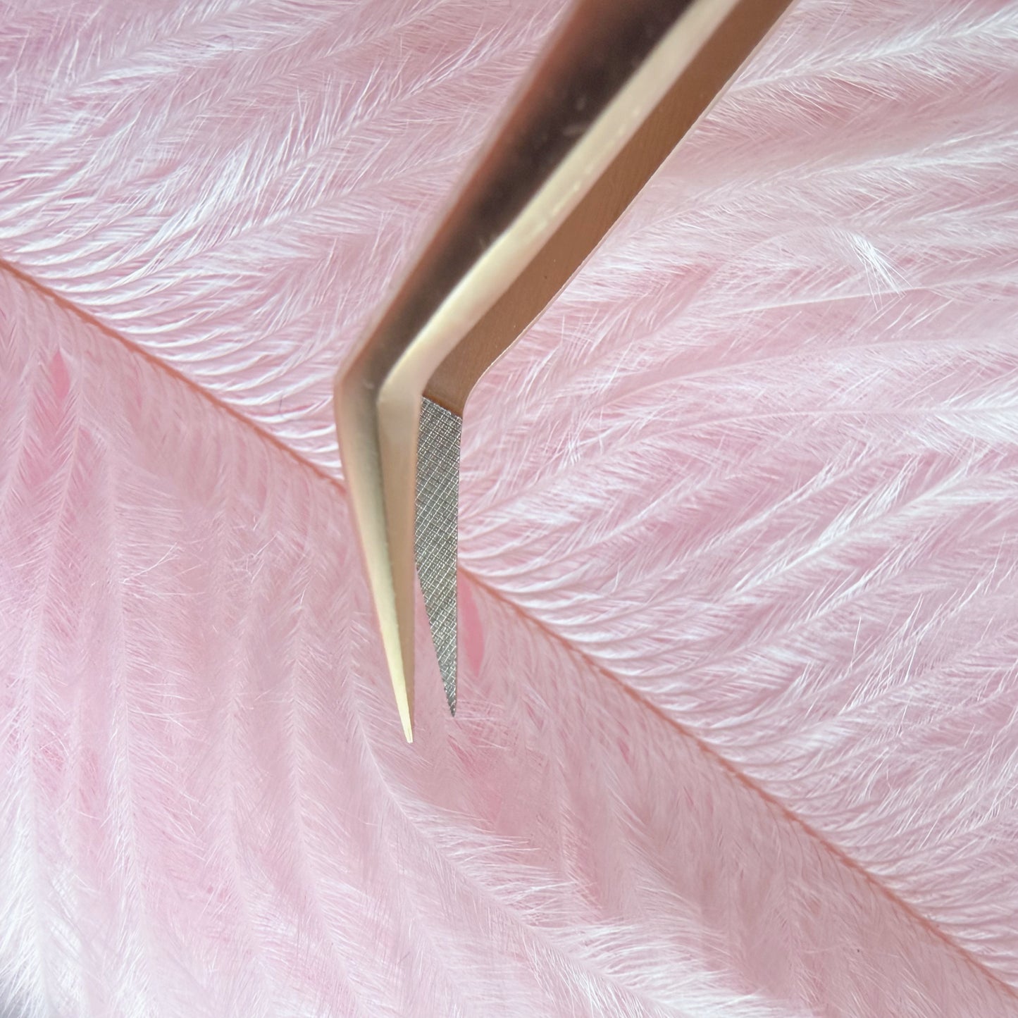 Pinzette matt Gold 1
